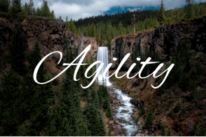 The Gift of What Falls Away
