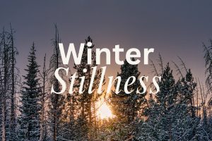 Winter Stillness