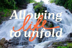 Allowing Life to Unfold