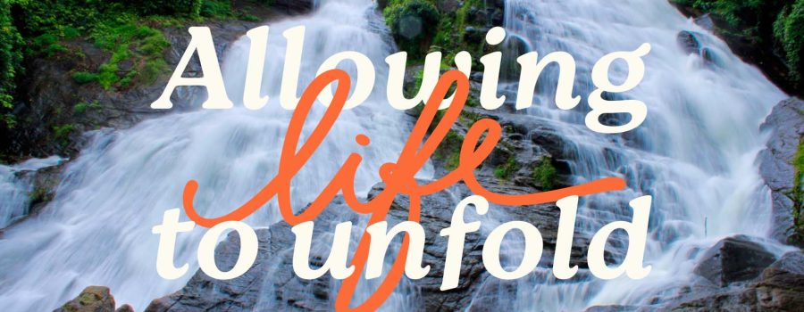 Allowing Life to Unfold