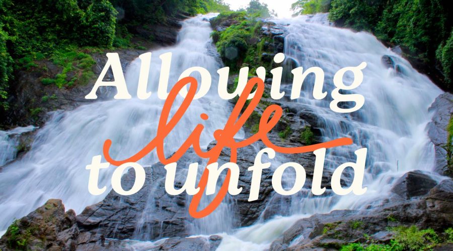 Allowing Life to Unfold